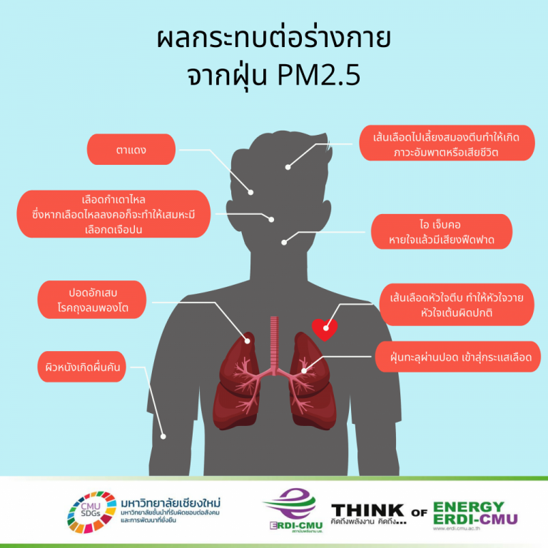 ผลกระทบต่อร่างกายจากฝุ่น PM2.5