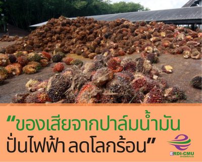 “ของเสียจากปาล์มน้ำมัน ปั่นไฟฟ้า ลดโลกร้อน”