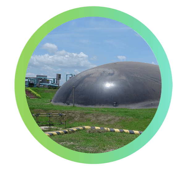 งานด้าน Biogas