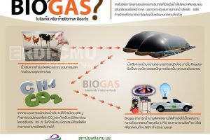 เปลี่ยนน้ำเสีย เป็นพลังงาน ลดค่าไฟ ไร้ปัญหากลิ่นเหม็นด้วย ด้วยระบบ Biogas