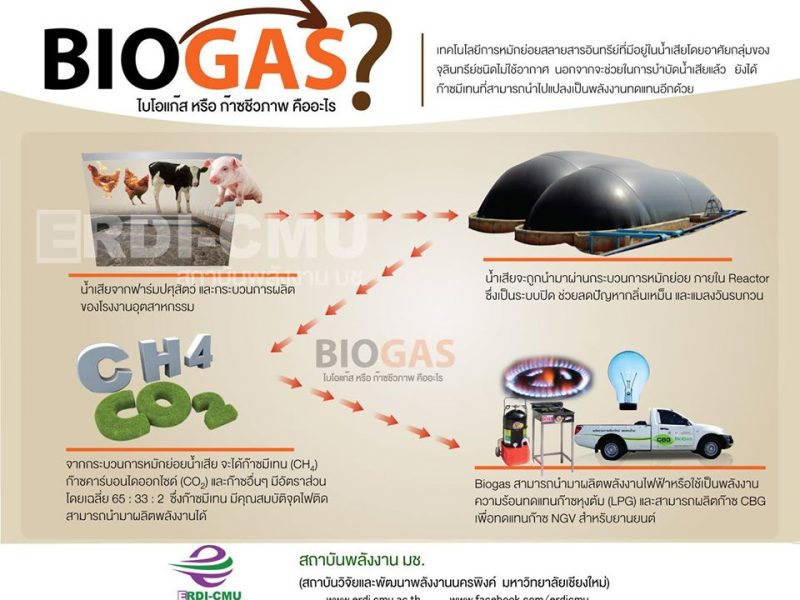 เปลี่ยนน้ำเสีย เป็นพลังงาน ลดค่าไฟ ไร้ปัญหากลิ่นเหม็นด้วย ด้วยระบบ Biogas