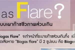 “ระบบเผาก๊าซชีวภาพส่วนเกิน” (Biogas Flare) ลดโลกร้อน