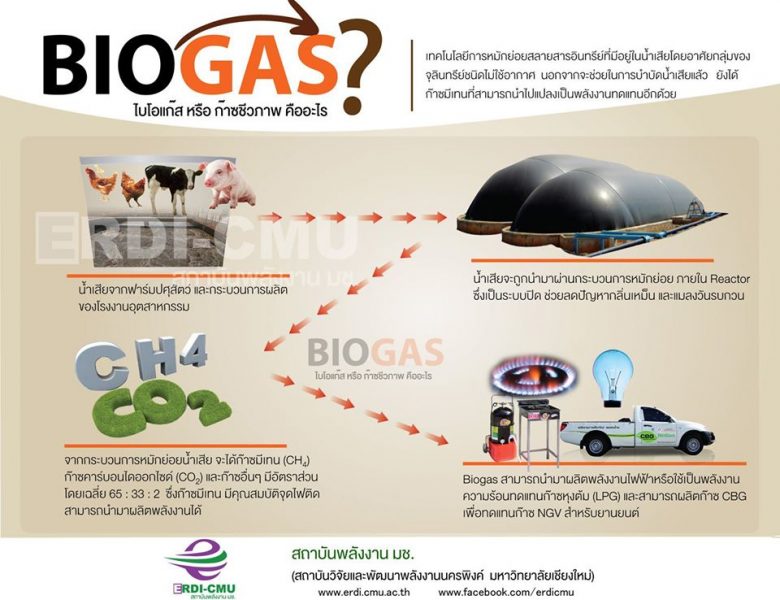 เปลี่ยนน้ำเสีย เป็นพลังงาน        ลดค่าไฟ ไร้ปัญหากลิ่นเหม็น  ด้วย Biogas