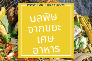มลพิษจากขยะเศษอาหาร