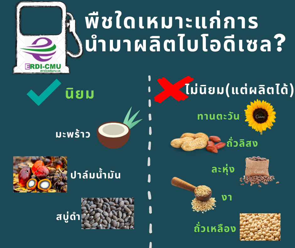 My Image 13
