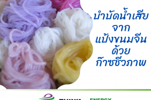 บำบัดน้ำเสียจากแป้งขนมจีนด้วยก๊าซชีวภาพ