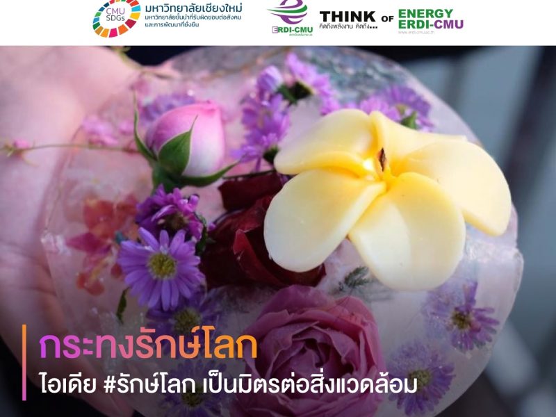 ลอยกระทงอย่างไรให้คูล