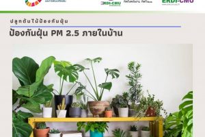 ปลูกต้นไม้ในบ้านลดฝุ่นPM2.5