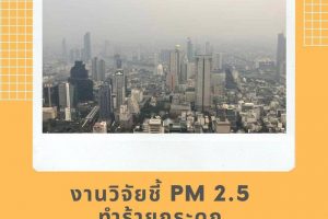 งานวิจัยชี้ PM 2.5 ทำร้ายกระดูก