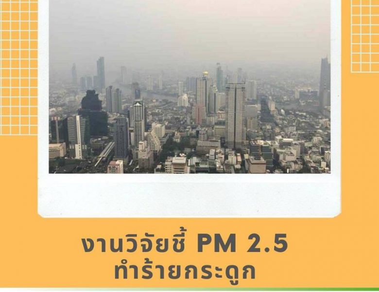 งานวิจัยชี้ PM 2.5 ทำร้ายกระดูก