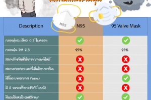 ทำไมต้อง หน้ากากป้องกันมลพิษและฝุ่นควัน?