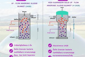 บ่อหมักไร้ออกซิเจนแบบเร็วและแบบช้า