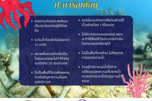 ปะการังเทียมคืออะไร ทำไมเราต้องจัดสร้าง