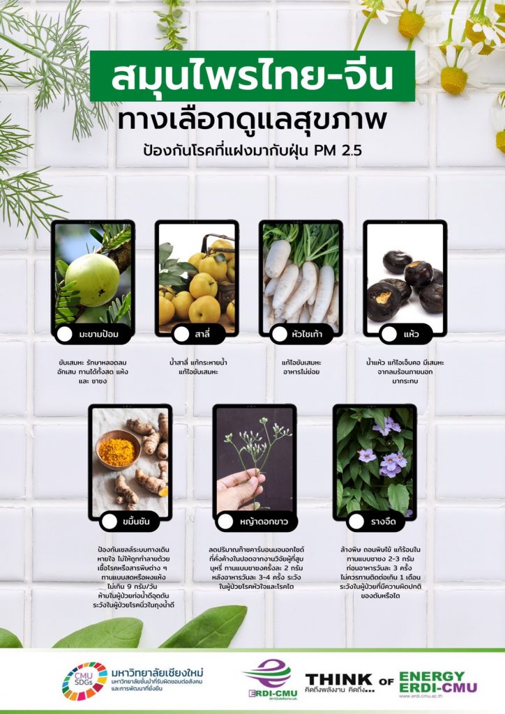 รู้หรือไม่ว่า สมุนไพรสามารถช่วยป้องกันโรคที่แฝงมากับ “ฝุ่นPM2.5” ได้