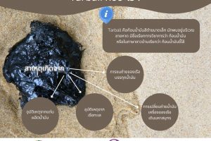 Tar ball หรือ น้ำมันขี้โล้
