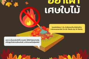 อย่าเผาเศษใบไม้