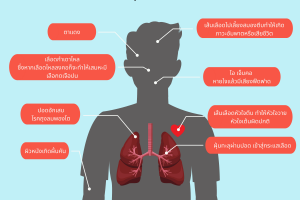 ผลกระทบต่อร่างกายจากฝุ่น PM2.5