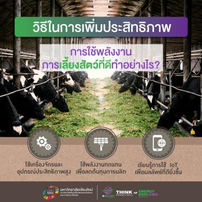 เคล็ดลับดีๆเพิ่มประสิทธิภาพการใช้พลังงานในการเลี้ยงสัตว์