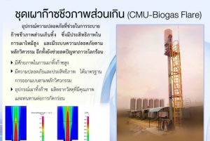 Biogas Flare