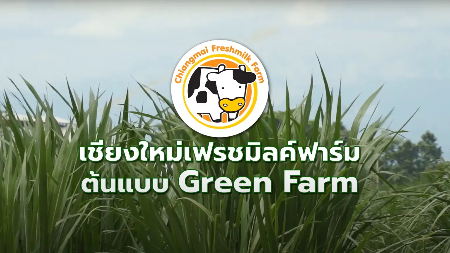 เชียงใหม่เฟรชมิลค์ฟาร์ม ต้นแบบGreen Farm