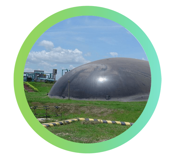 Biogas